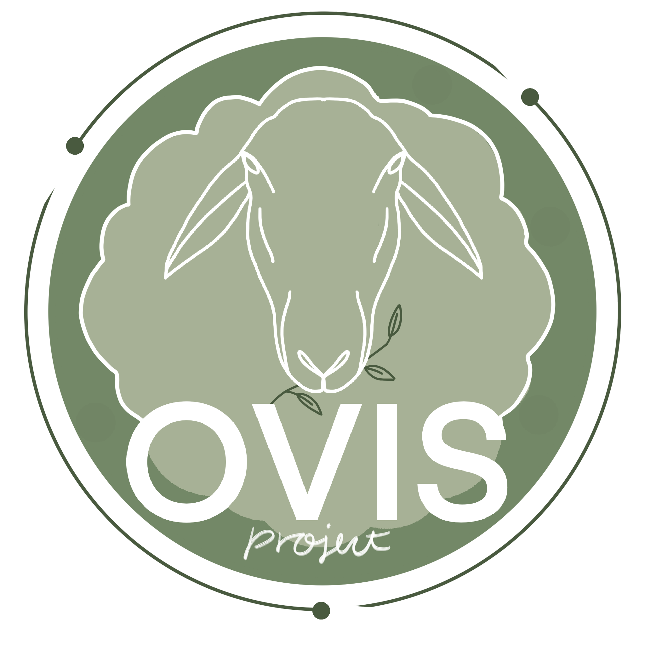 OVIS Project